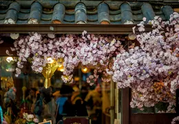 What Nobody Tells You About the GKS Application