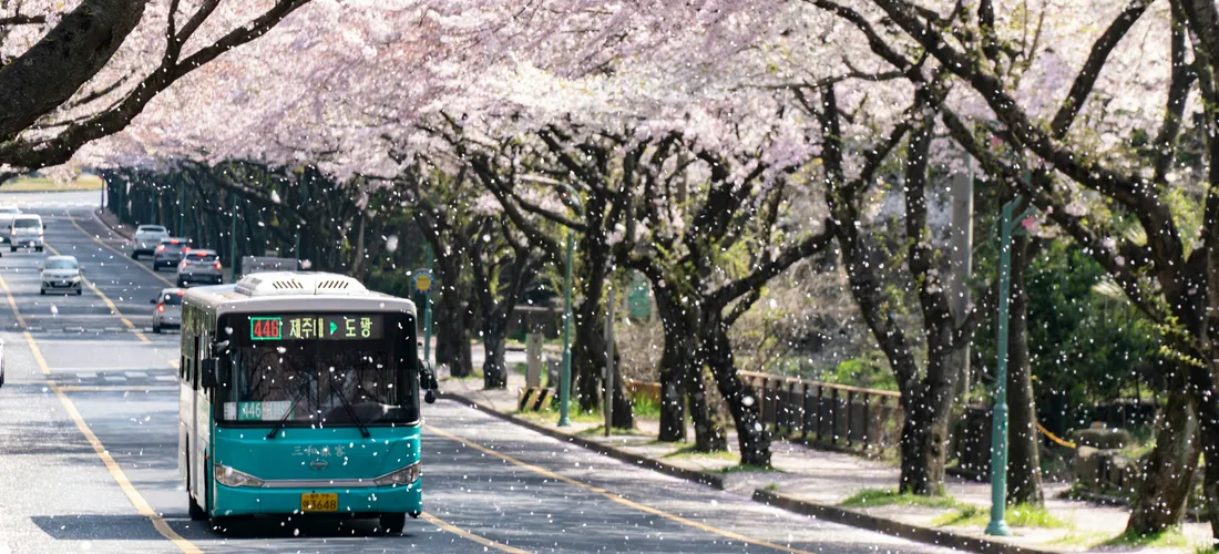 How I Actually Study Korean (And the Music That Helps)