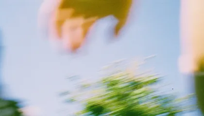 What the GKS Scholarship Application Actually Costs — From Mexico